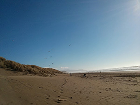 Ocean Beach